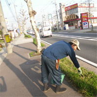 ogawa