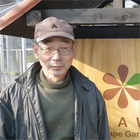 ogawa